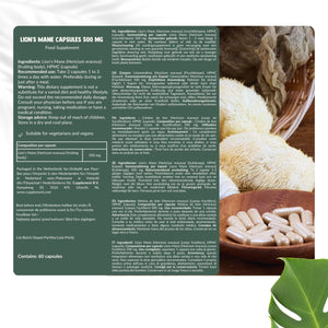 Lion's Mane Capsules 500 mg Biologisch