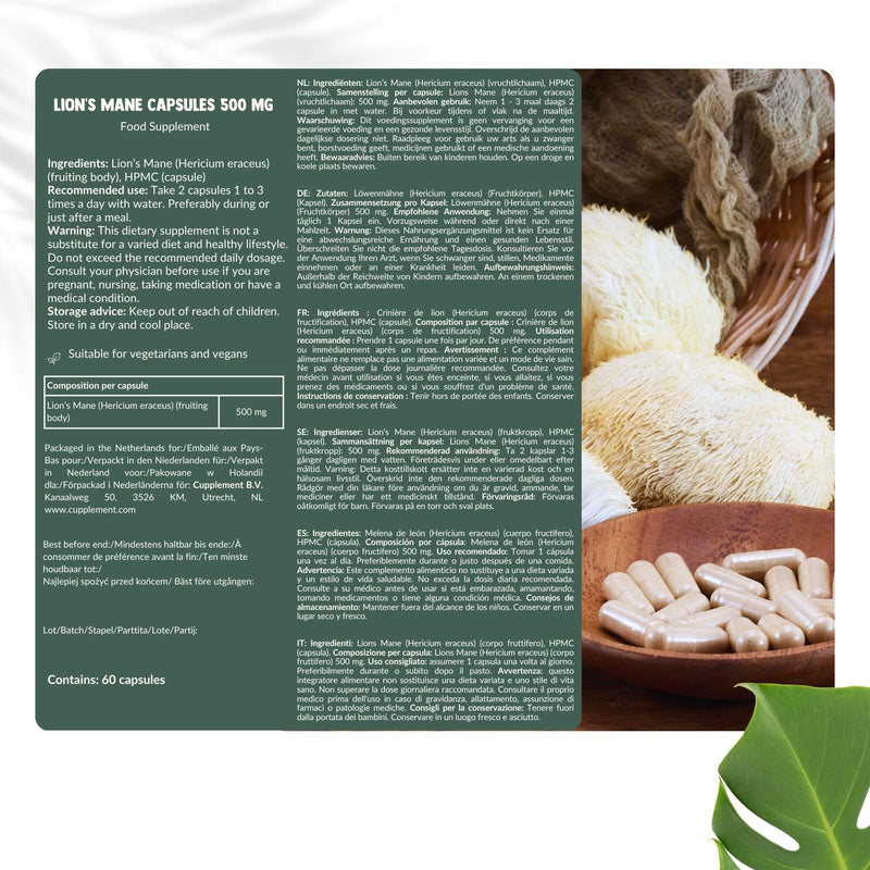 Lion's Mane Capsules 500 mg Biologisch