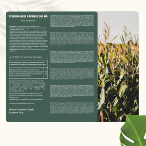 Psylliumvezels Capsules 500 mg BIO