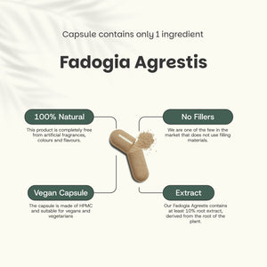 Fadogia Agrestis capsules goyu superfood supplement