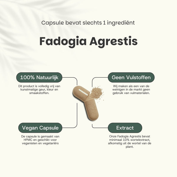 Fadogia Agrestis capsules goyu superfood supplement