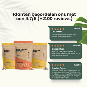 Natural Focus & Stress Balance Bundle