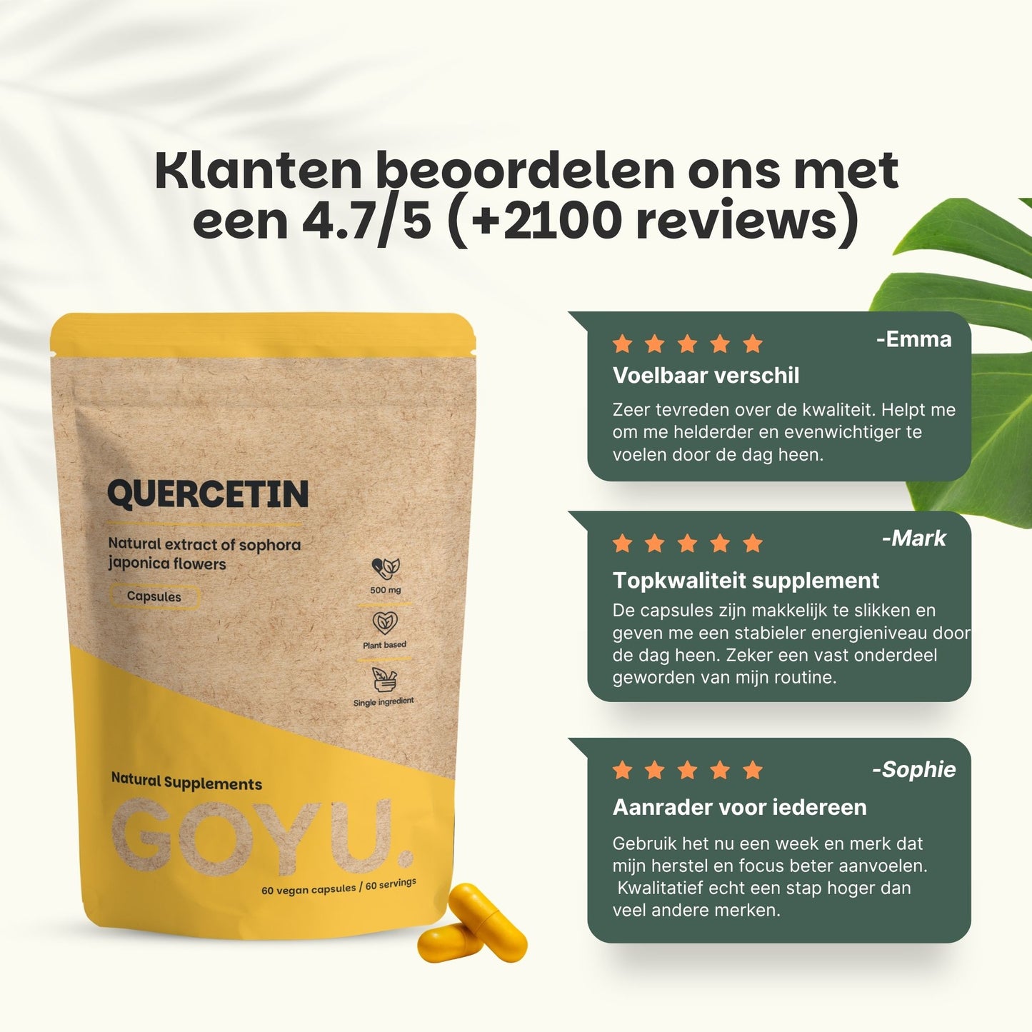 Quercetin Extract Capsules Goyu Supplement Superfood