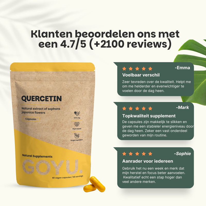 Quercetin Extract Capsules Goyu Supplement Superfood