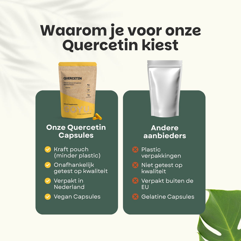 Quercetin Extract Capsules Goyu Supplement Superfood