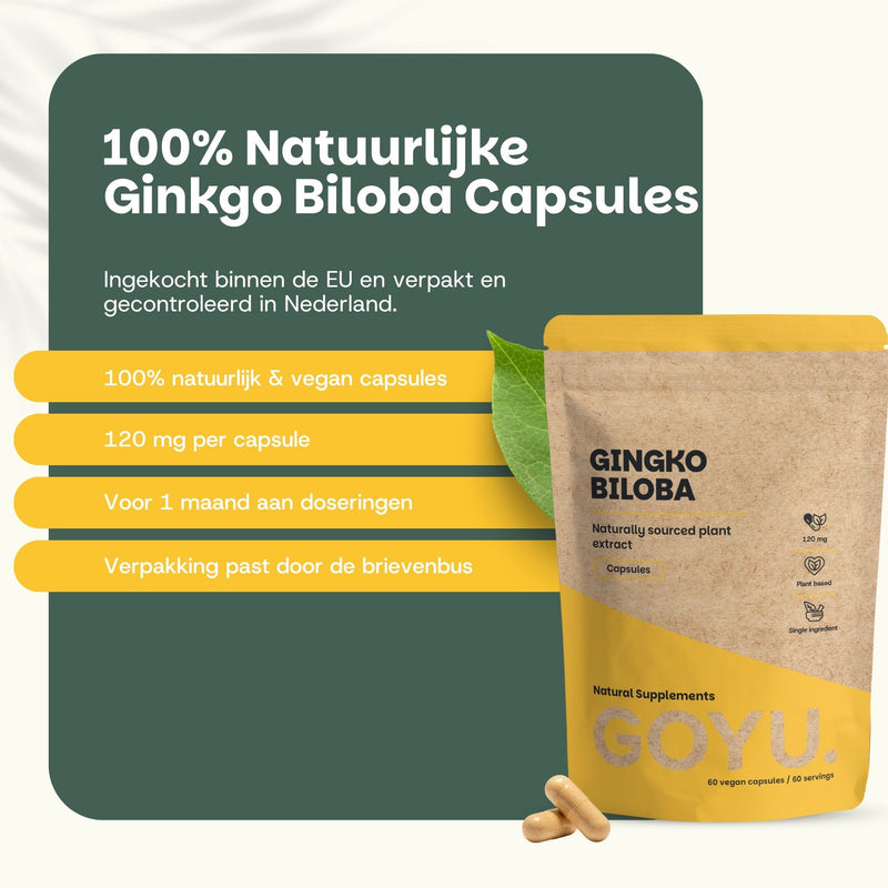 Ginkgo Biloba Capsules 100 mg