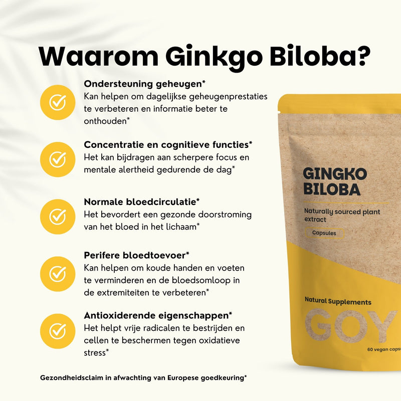 Ginkgo Biloba Capsules 100 mg