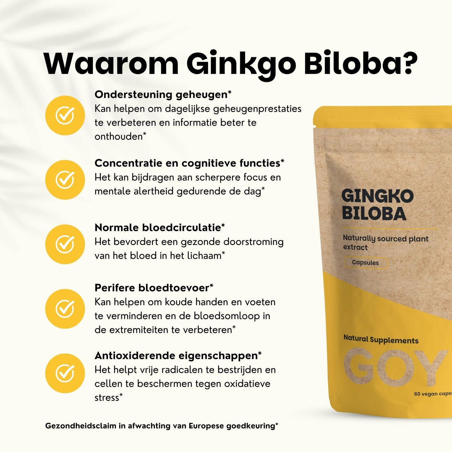 Ginkgo Biloba Kapseln 100 mg