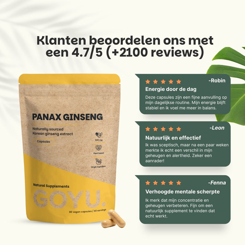 Ginkgo Biloba Capsules 100 mg