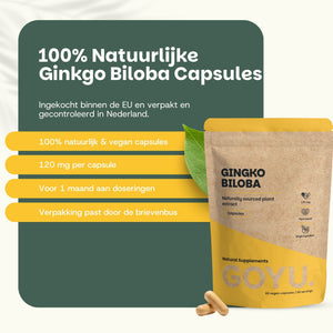 Ginkgo Biloba Capsules 100 mg