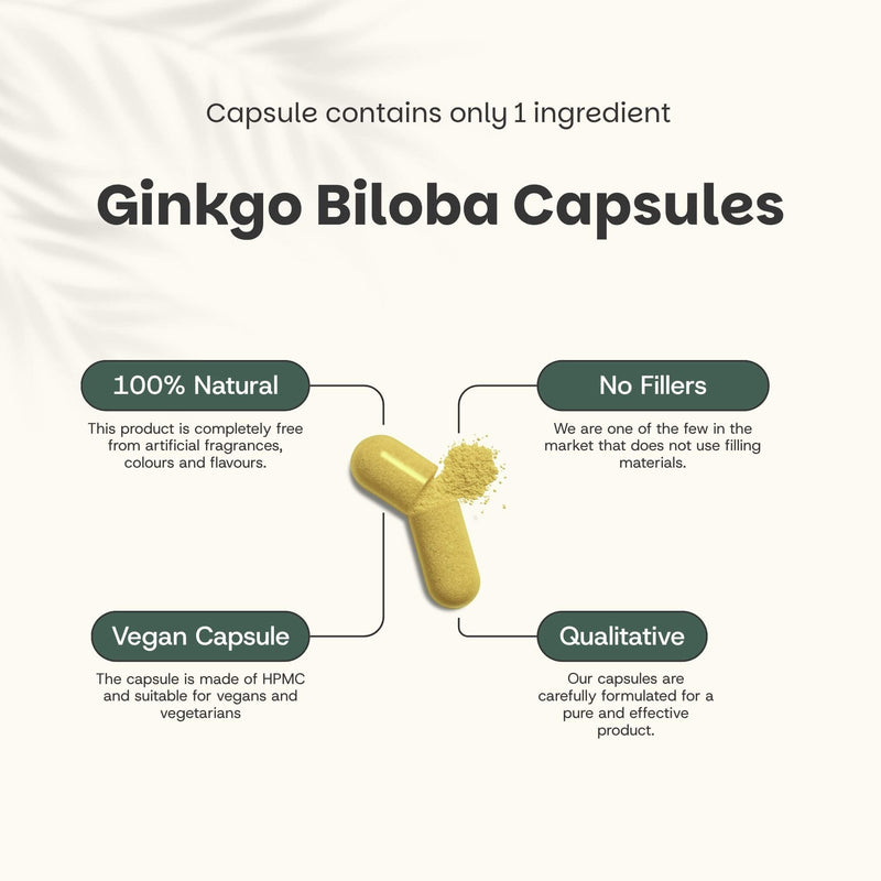 Ginkgo Biloba extract capsules goyu supplement superfood