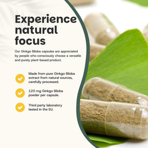 Ginkgo Biloba extract capsules goyu supplement superfood