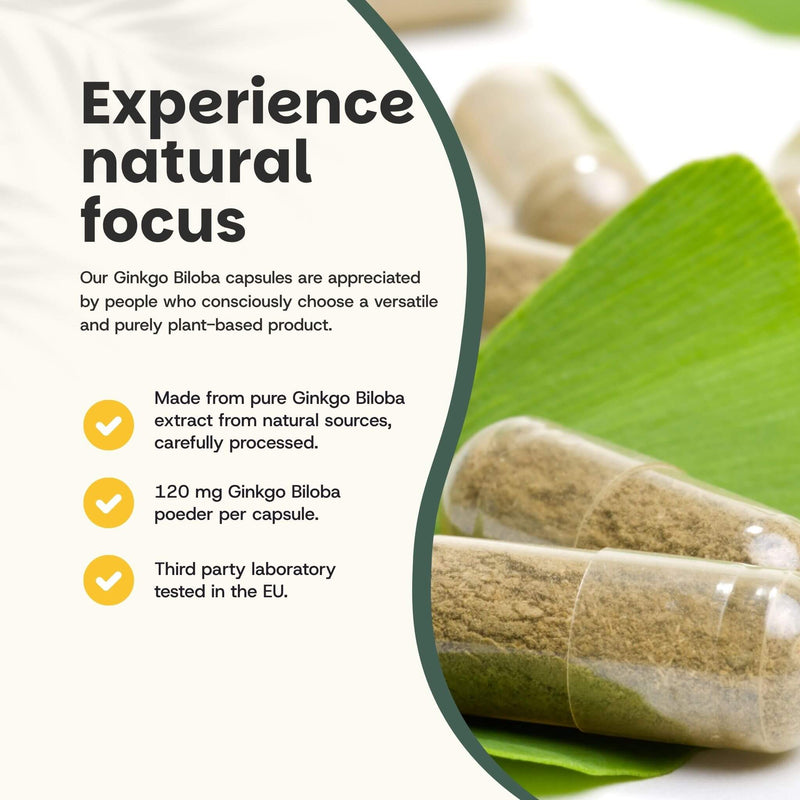 Ginkgo Biloba extract capsules goyu supplement superfood