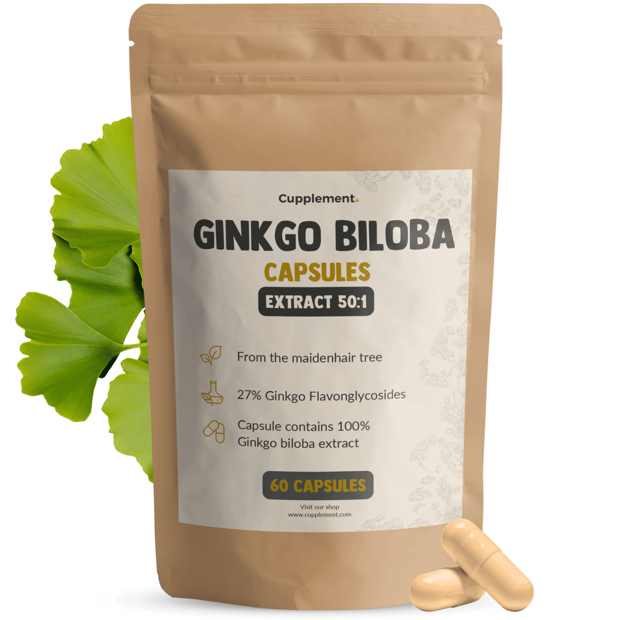 Ginkgo Biloba Capsules 100 mg
