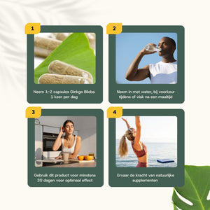 Ginkgo Biloba extract capsules goyu supplement superfood