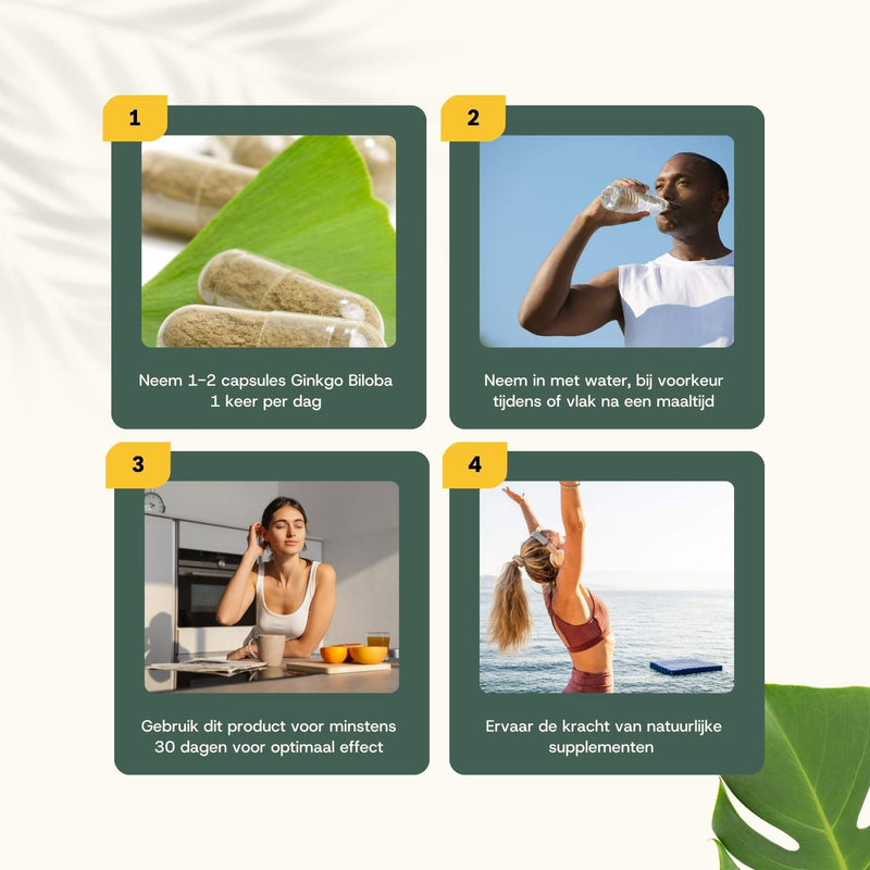 Ginkgo Biloba extract capsules goyu supplement superfood