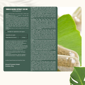 Ginkgo Biloba extract capsules goyu supplement superfood
