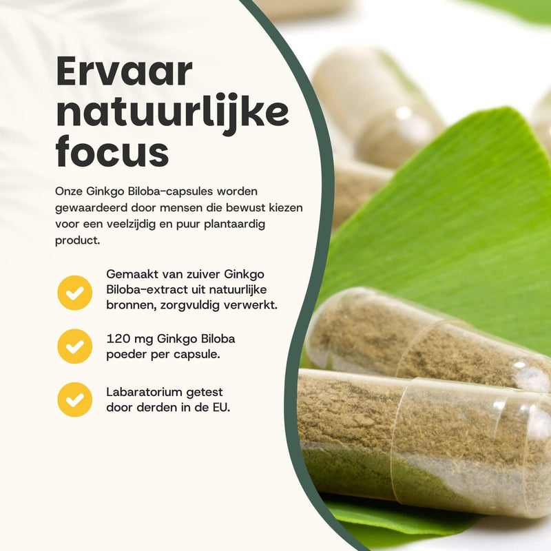 Ginkgo Biloba extract capsules goyu supplement superfood