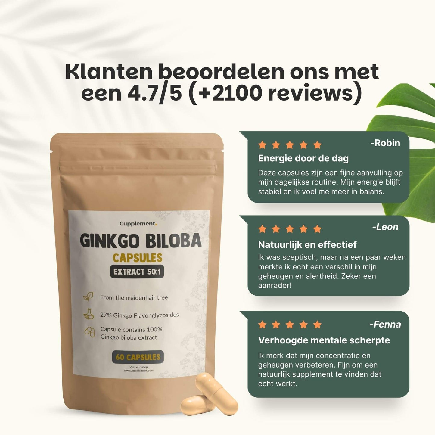 Ginkgo Biloba extract capsules goyu supplement superfood