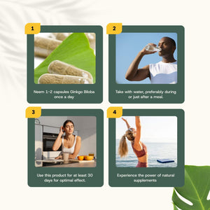 Ginkgo Biloba extract capsules goyu supplement superfood