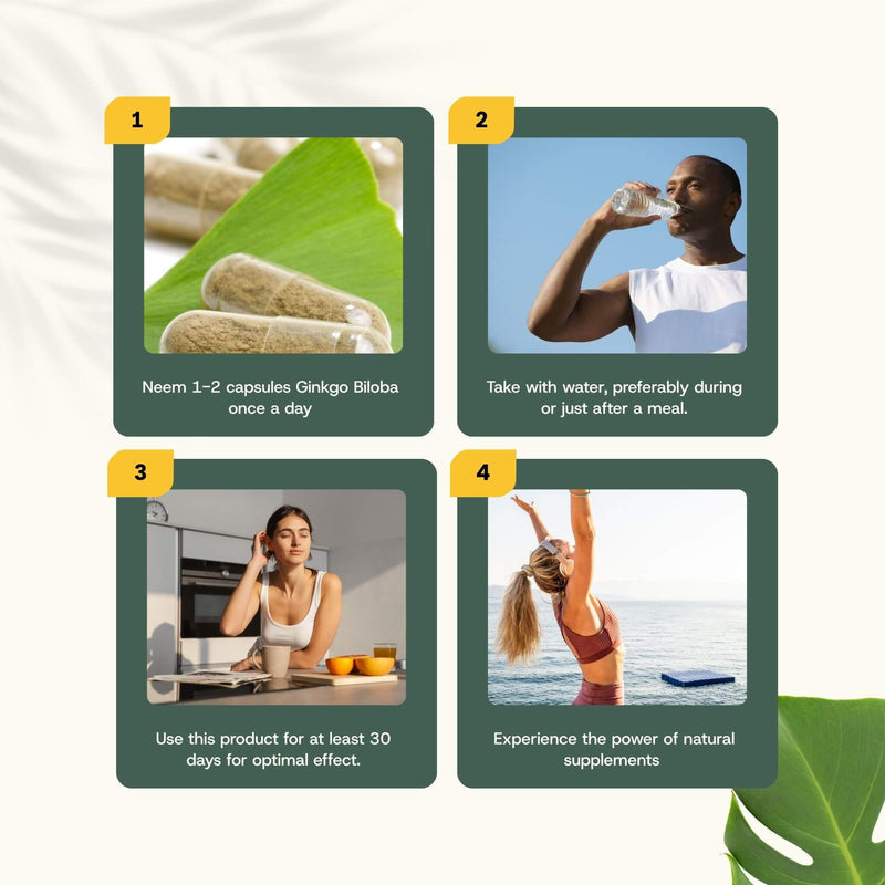 Ginkgo Biloba extract capsules goyu supplement superfood