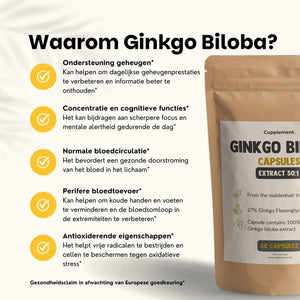 Ginkgo Biloba extract capsules goyu supplement superfood