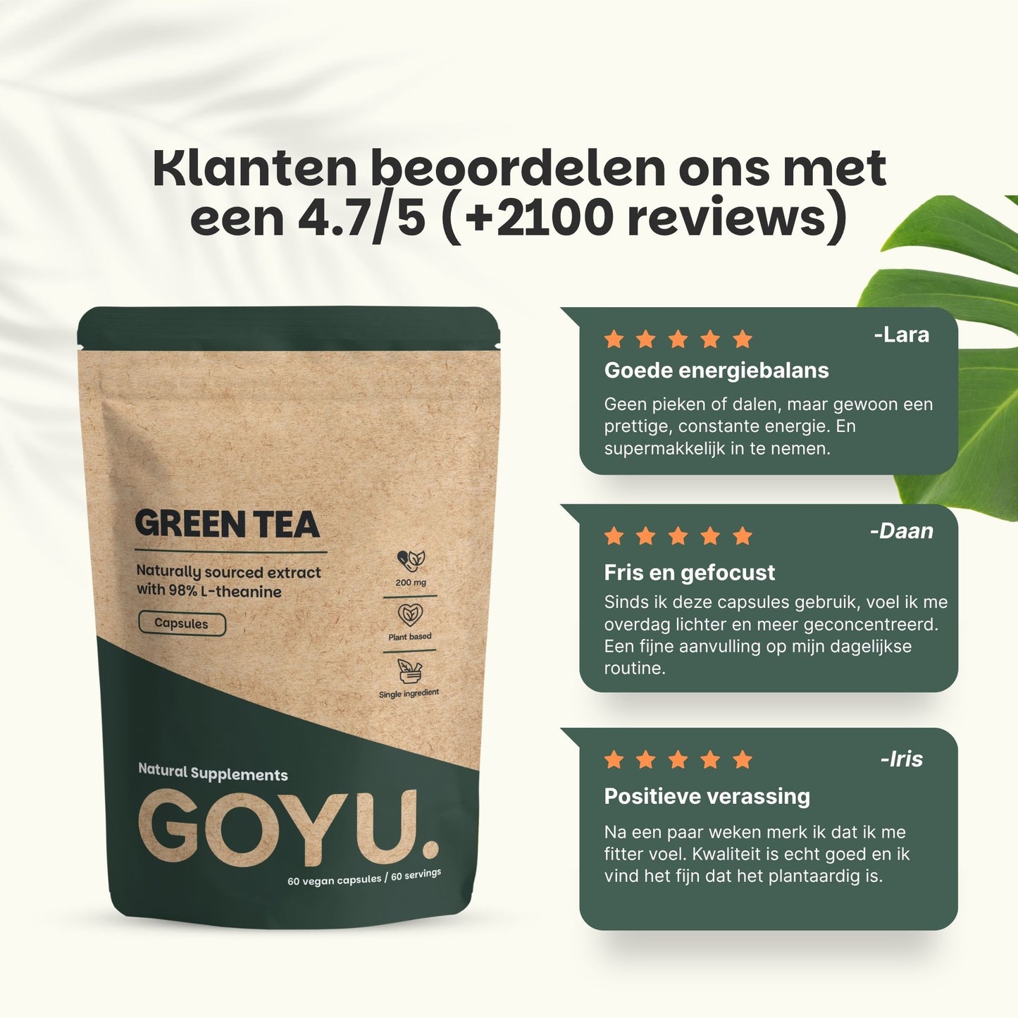 Grüner Tee Extrakt Kapseln 500 mg (L-Theanin)