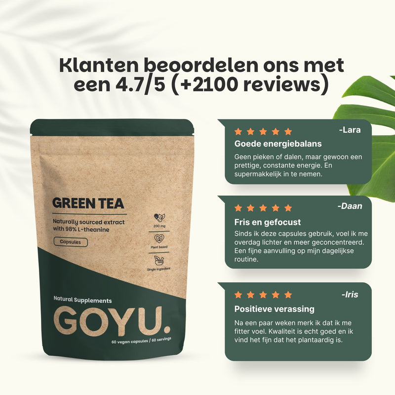 Groene thee Extract Capsules 500mg (L-Theanine)