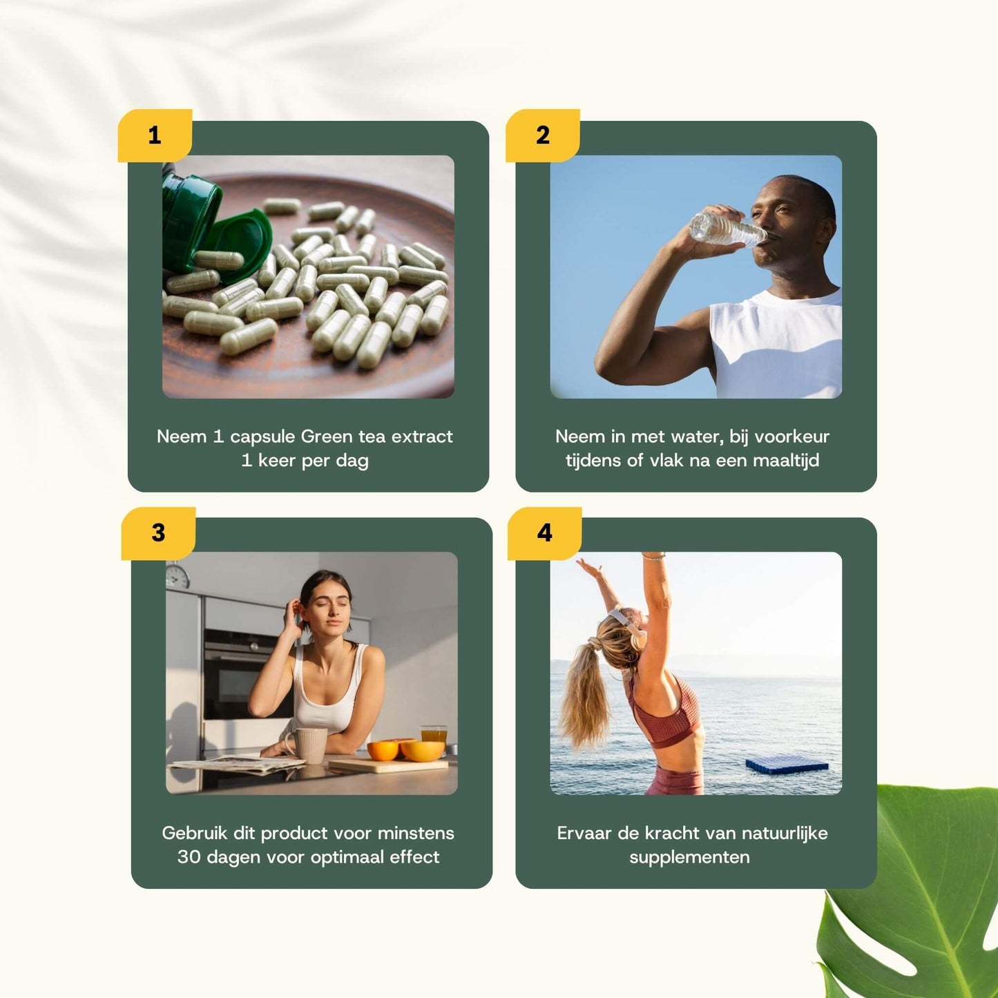 Green tea extract L-theanine capsules goyu supplement superfood