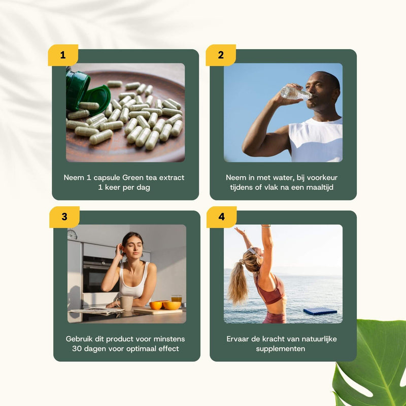 Green tea extract L-theanine capsules goyu supplement superfood