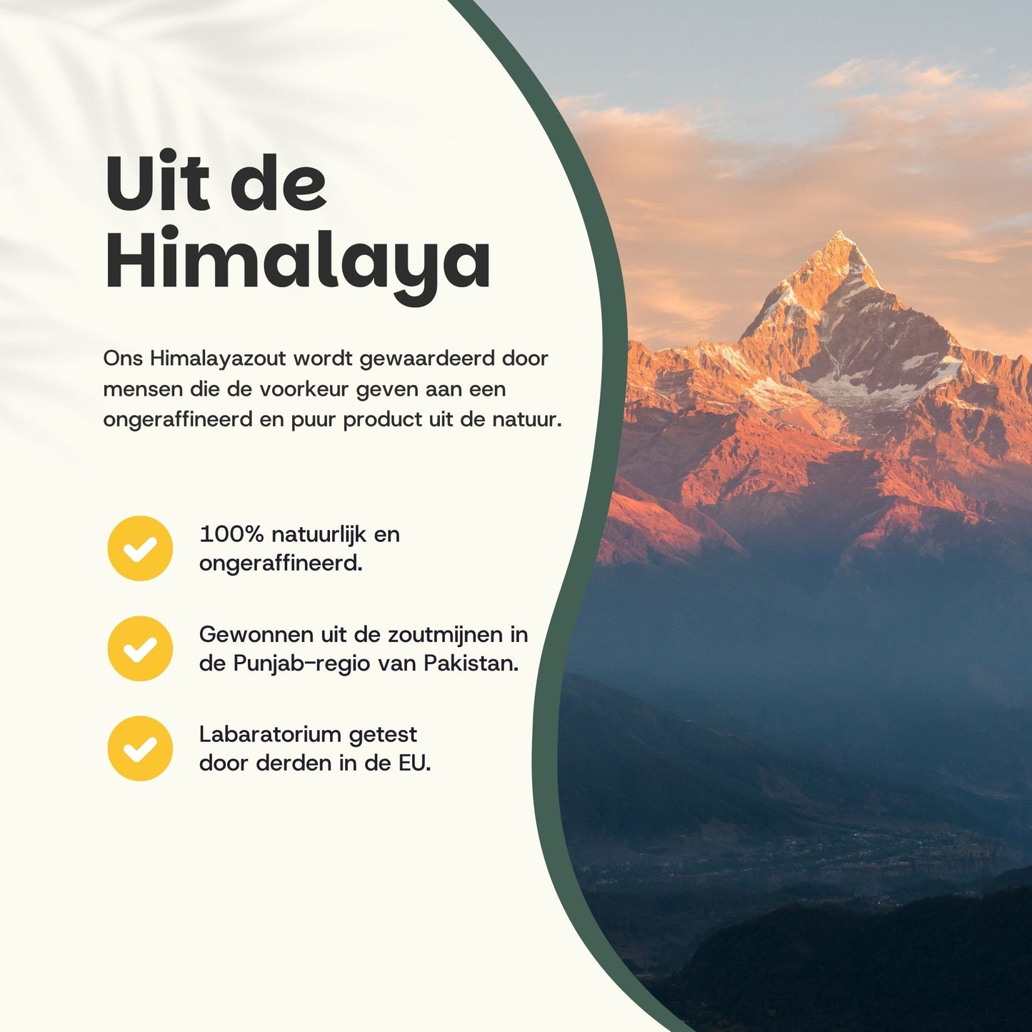 Himalaya zout goyu superfood supplement