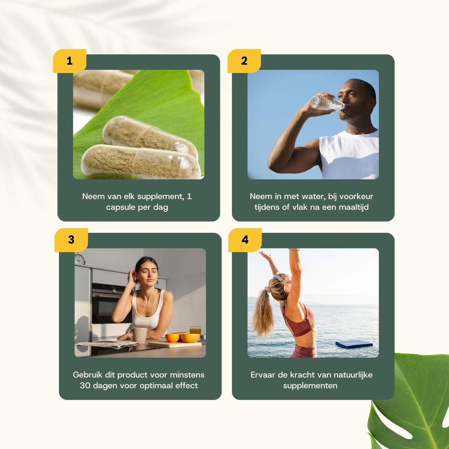 Natural Clear Focus Bundle