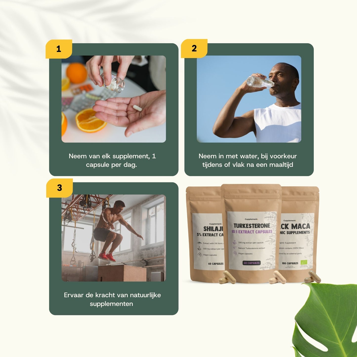 Natural Hormone Bundle 