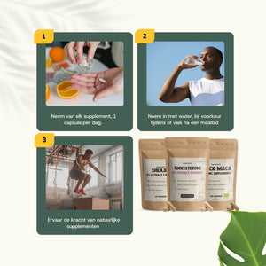 Natural Hormone Bundle