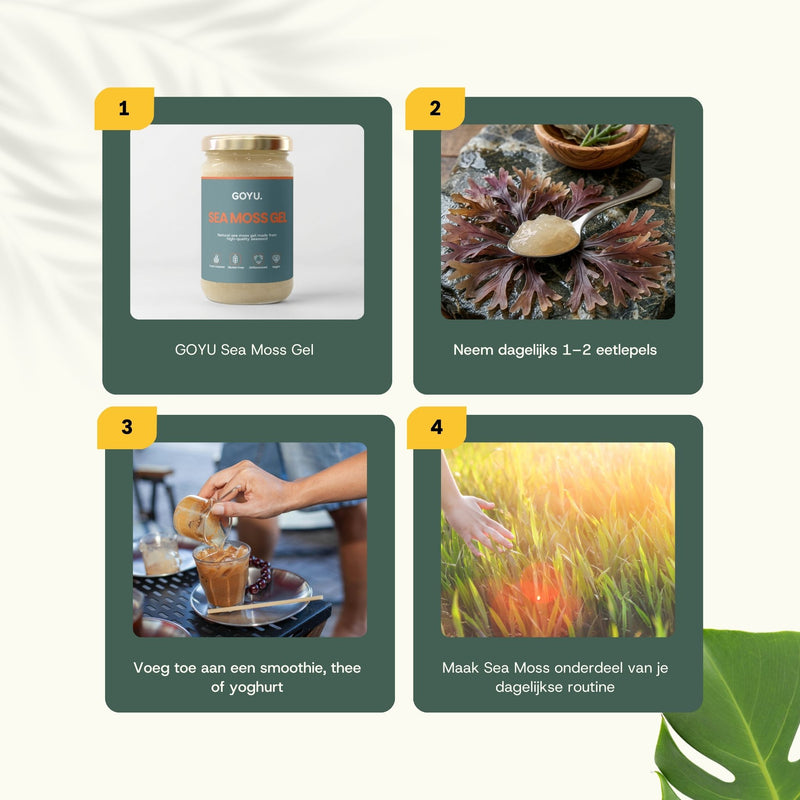 Sea Moss Gel