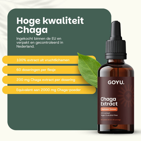 Teinture de Chaga