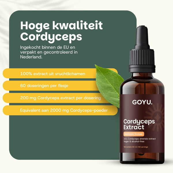 Teinture de Cordyceps