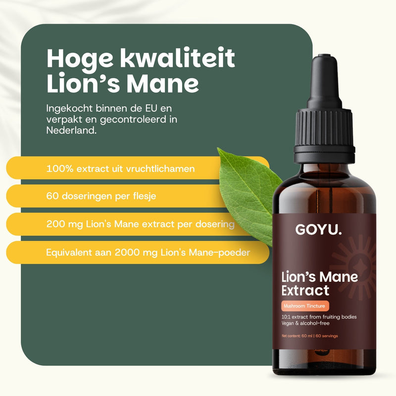 Lion's Mane Tinctuur