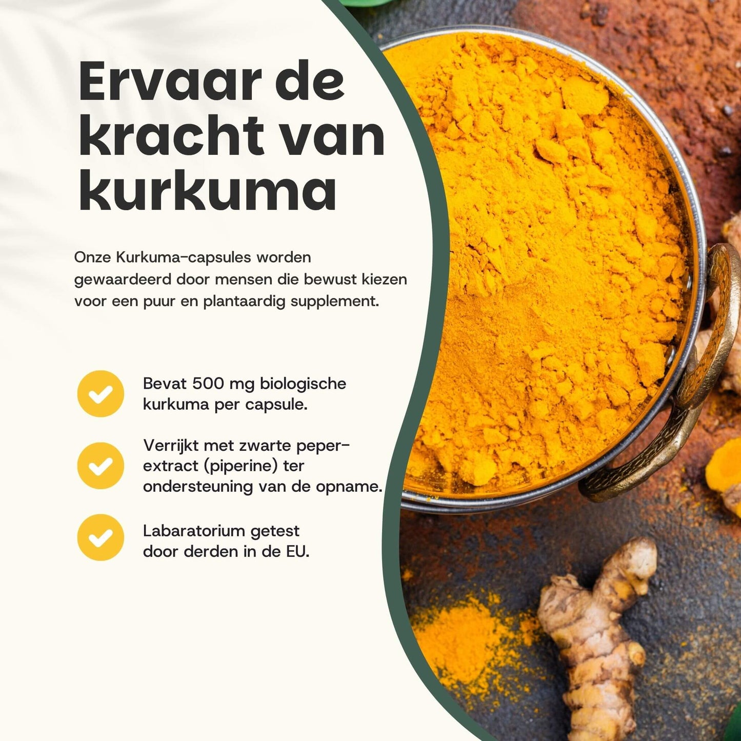 Kurkuma Curcumin extract goyu supplement superfood