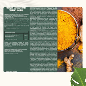 Kurkuma Curcumin extract goyu supplement superfood
