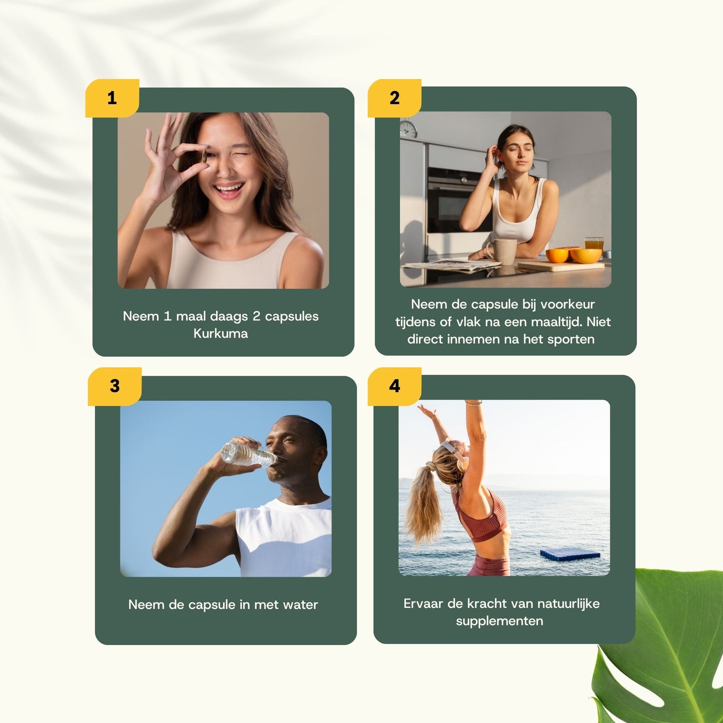 Kurkuma capsules goyu supplement superfood