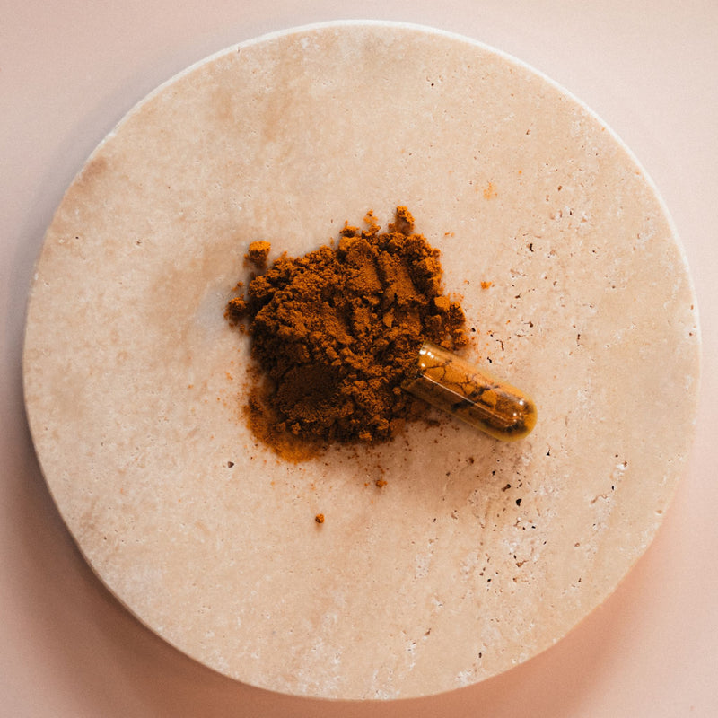 Kurkuma Capsules 600 mg Biologisch