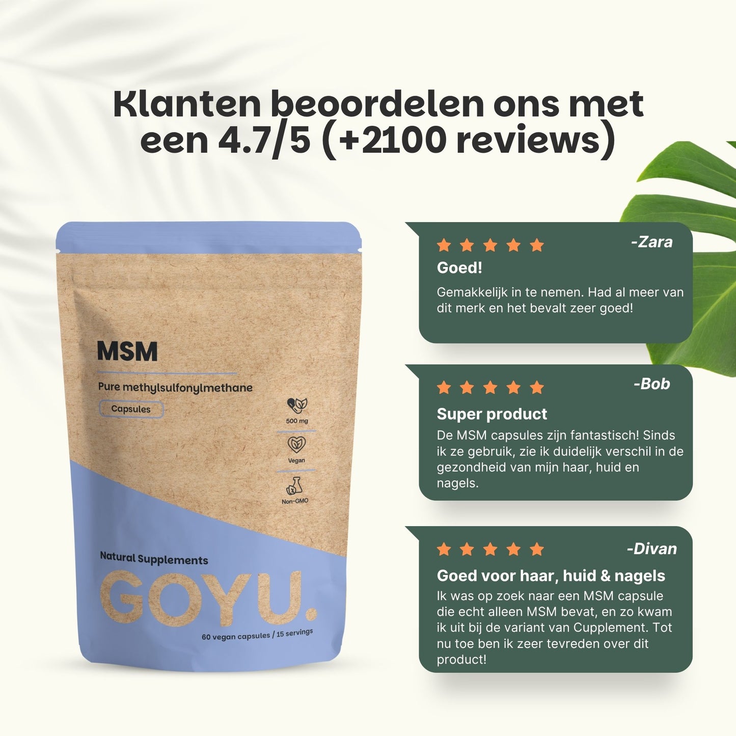 MSM capsules goyu superfood supplement