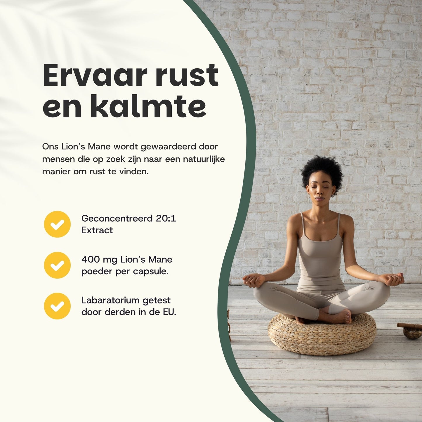 Lions Mane extract capsules goyu superfood supplement