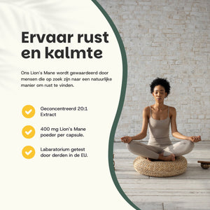 Lions Mane extract capsules goyu superfood supplement