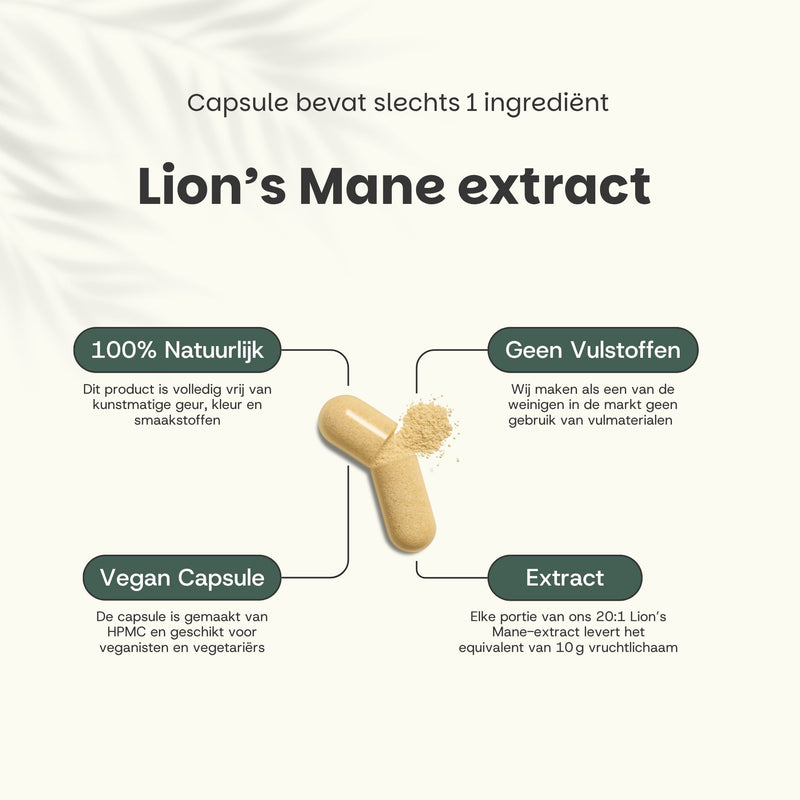Lions Mane extract capsules goyu superfood supplement