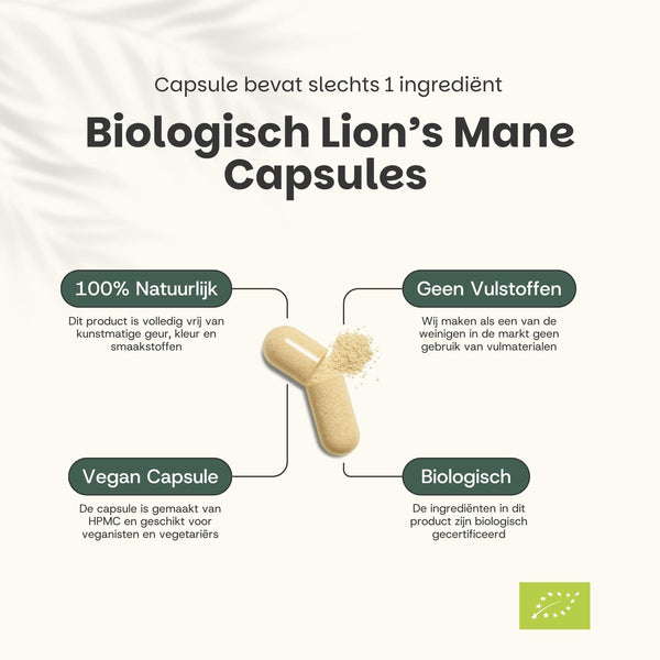 Lions mane capsules goyu supplement superfood