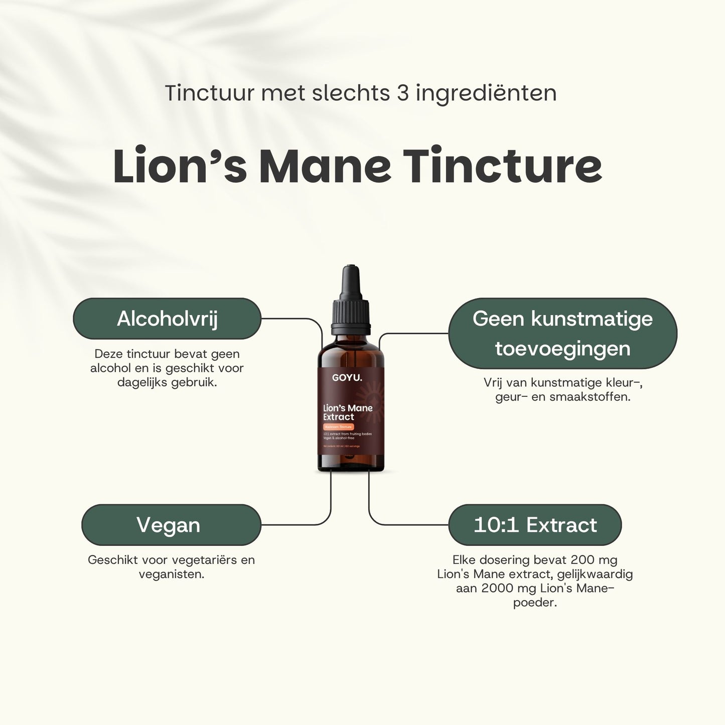 Lion's Mane Tincture