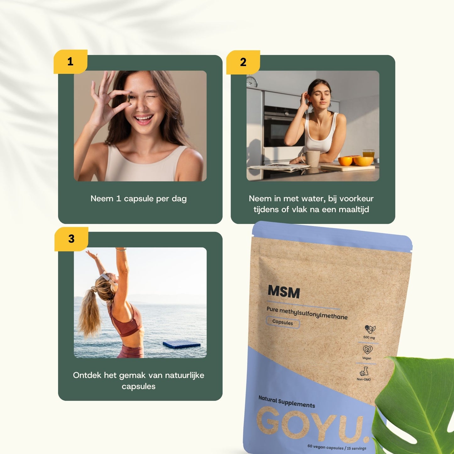 MSM capsules goyu superfood supplement