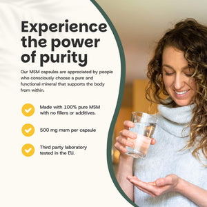 MSM capsules goyu superfood supplement